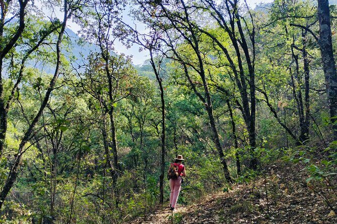 Mountain Hike & Rituals - Discovering the Mountain Hike & Rituals Tour in Oaxaca