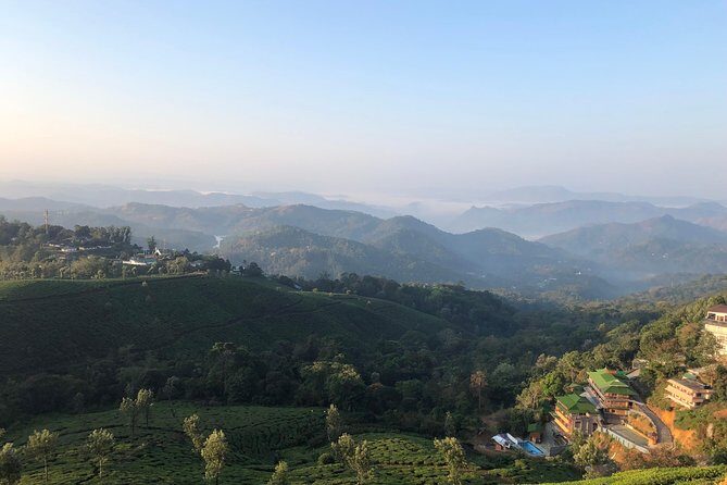 Mountain Hiking in Munnar (half day) By Munnar Info - What to Expect on the Trail