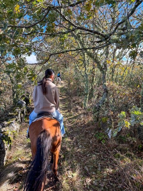 Mountain Horseback Ride, Lunch, Wine Tasting - Who Is This Tour Best For?