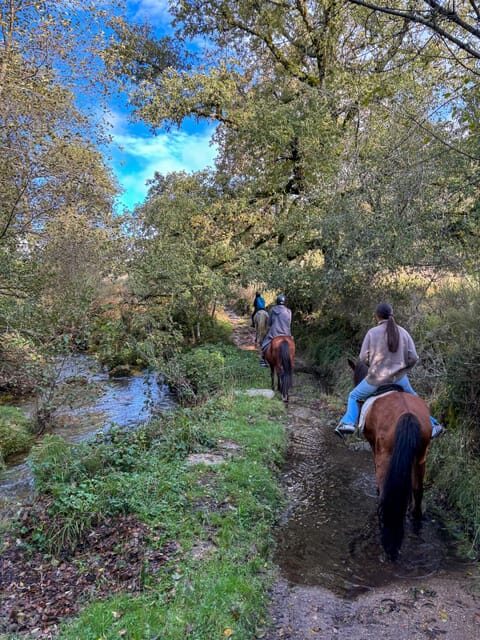 Mountain Horseback Ride, Lunch, Wine Tasting - The Sum Up