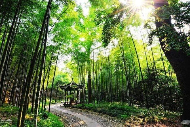 Mountain Lake Hiking -1-Day Scenic Trailwalking in Anhui Province - Frequently Asked Questions