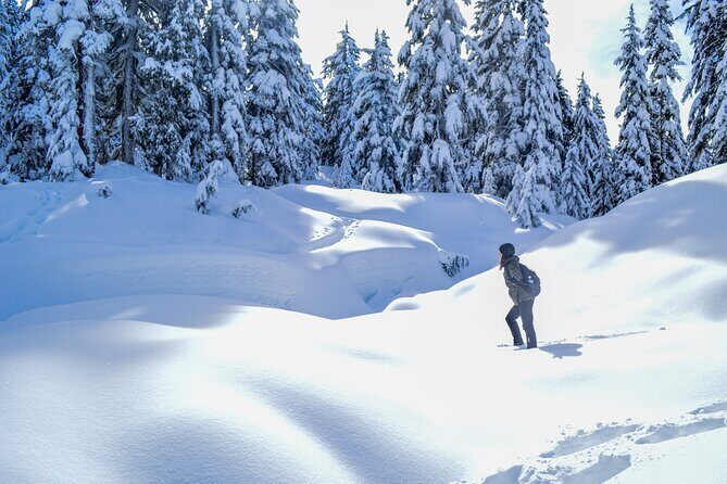 Mountain Snowshoeing & Photography - Introduction: A Scenic Snowshoeing Adventure Close to Vancouver