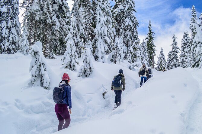 Mountain Snowshoeing & Photography - Pricing and Value