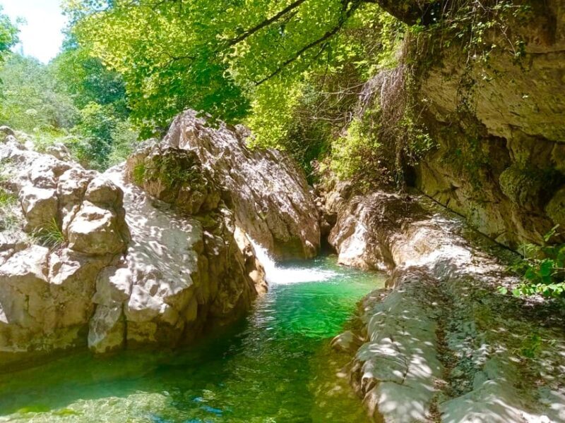 Mountain Train Experience: Hike & Mystic Forest (From Nice) - Key Points