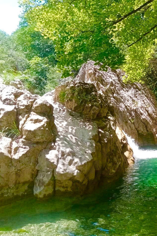 Mountain Train Experience: Hike & Mystic Forest (From Nice) - FAQ