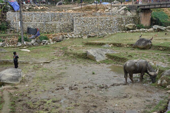 Mountain views and villages trek  1 Day - Frequently Asked Questions