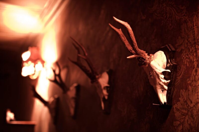 moviESCAPE Stockport Haunted House II escape room game - Key Points