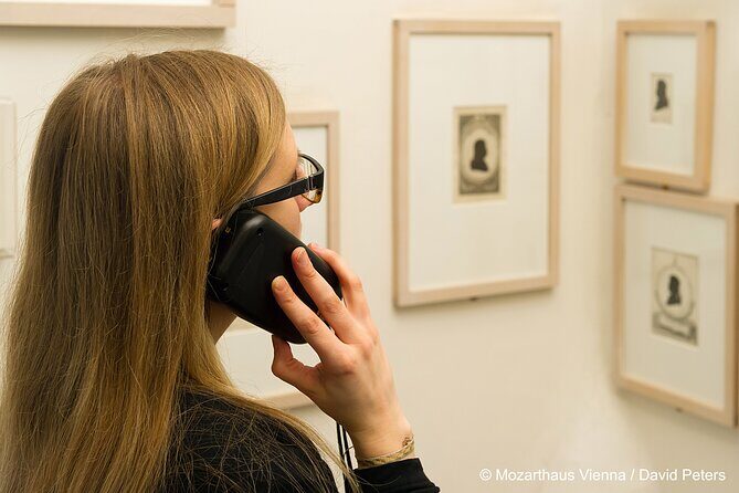 Mozarthaus Vienna Admission Ticket - Who Should Visit?