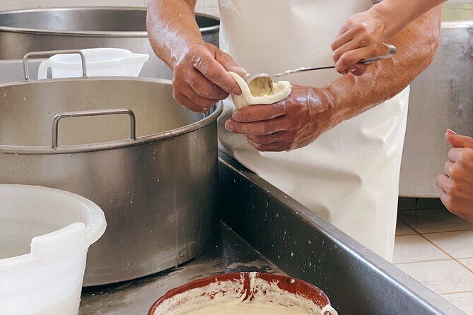 Mozzarella Experience - Cheese Tour and tastings to Masseria Fragnite - FAQ