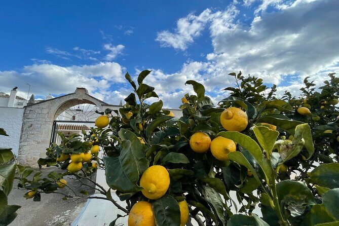 Mozzarella Experience - Authentic Mozzarella Making on a Family Farm in Puglia: Our Review of the Mozzarella Experience