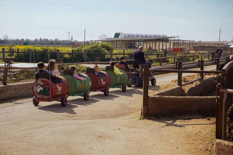 Mozzarella experience: discovering the art of cheese making - A Step-by-Step Look at What to Expect