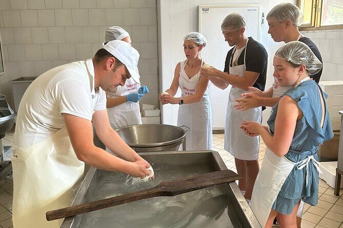 Mozzarella Experience with Tasting in Vico Equense - Why This Tour Works for Different Travelers