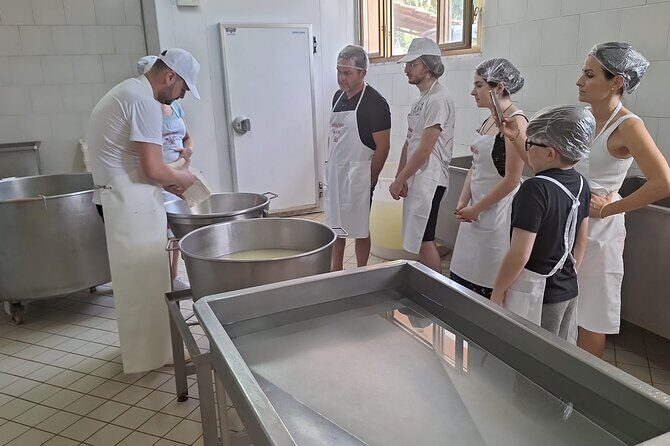 Mozzarella Experience with Tasting in Vico Equense - FAQs