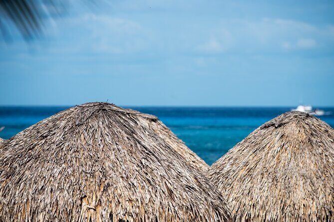 Mr. Sanchos Beach Club All-Inclusive Day Pass - Final Thoughts: Who Is This Experience Best For?