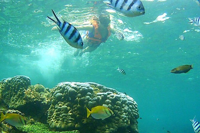 Mr. Tu Day Trip to Angthong Marine Park by Speed Boat from Koh Samui - FAQ
