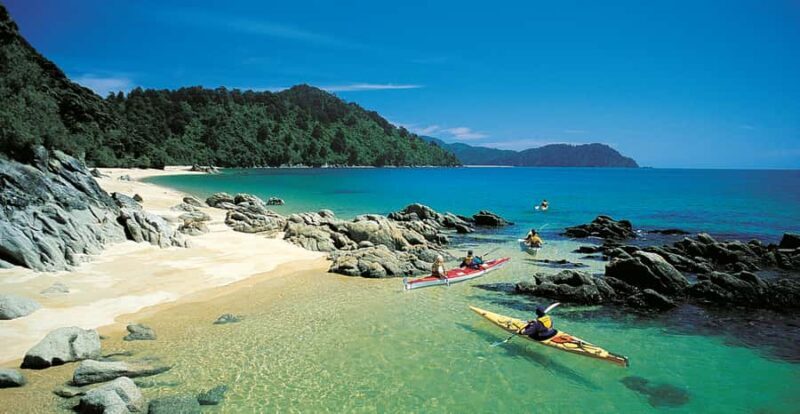 Mrahau: Abel Tasman Marine Reserve Kayak Tour - What Makes This Tour Stand Out?