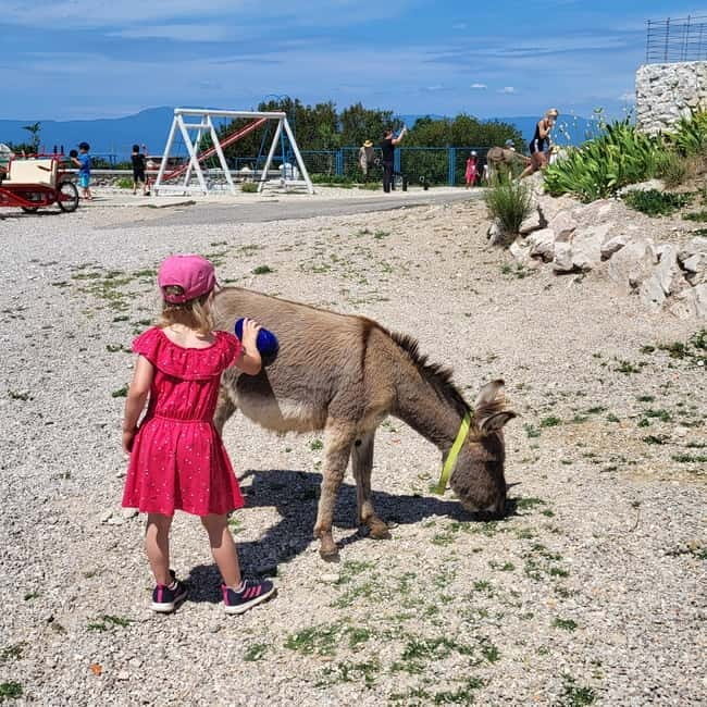 mrika (near Rijeka/Krk/Crikvenica) Donkey Farm Family Fun - Key Points
