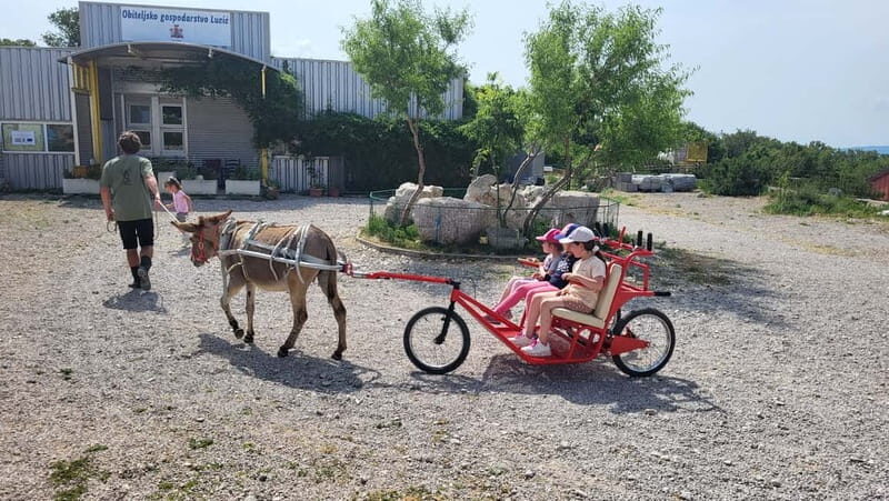 mrika (near Rijeka/Krk/Crikvenica) Donkey Farm Family Fun - Practical Details and Tips for Visitors