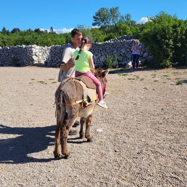 mrika (near Rijeka/Krk/Crikvenica) Donkey Farm Family Fun - Who Will Love This Experience?