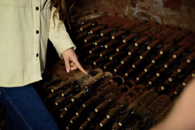 Mt. Ararat: Wine Tasting & Dinner at Tushpa Winery - Authentic Insights from Past Visitors