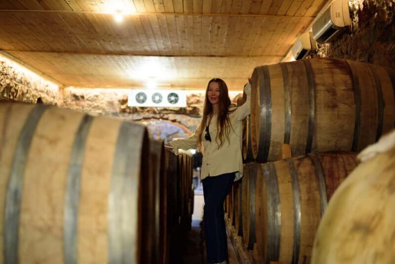 Mt. Ararat: Wine Tasting & Dinner at Tushpa Winery - Who Will Love This Experience?