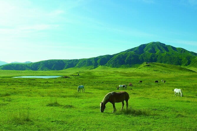 Mt. Aso and Takachiho Gorge 1 Day Highlights Tour From Kumamoto - Who is This Tour Best For?