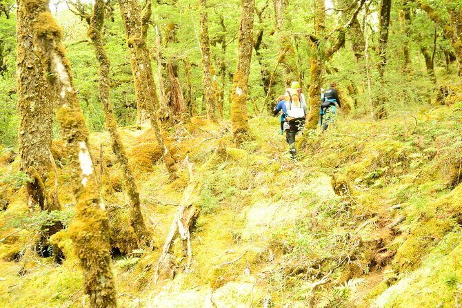 Mt Aspiring Full Day Canyon ex Queenstown or Wanaka - The Itinerary and What to Expect