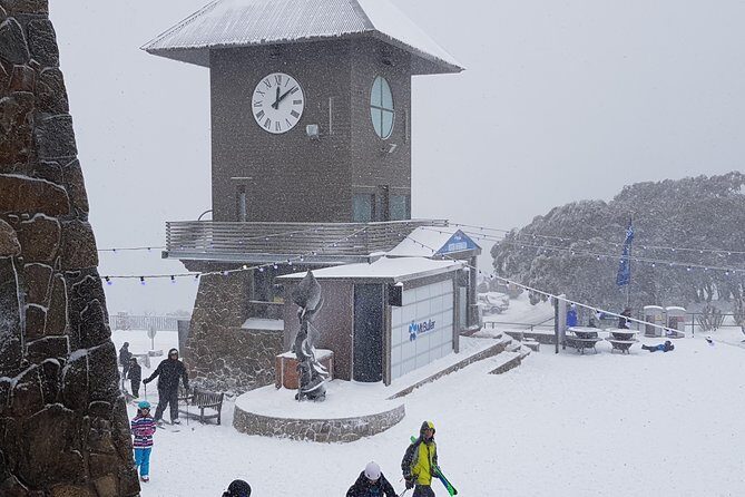 Mt Buller Day Trip from Melbourne - Key Points