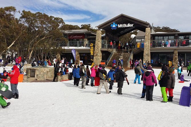 Mt Buller Day Trip from Melbourne - What Travelers Say: Authentic Perspectives
