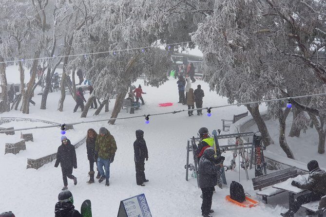 Mt Buller Day Trip from Melbourne - Final Thoughts: Is This Tour Right for You?