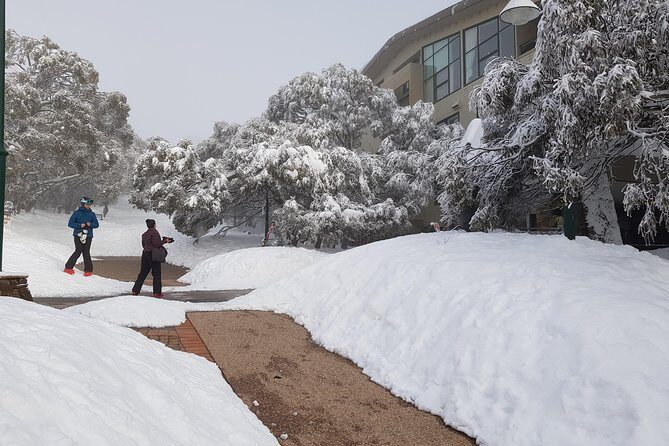 Mt Buller Day Trip from Melbourne - Frequently Asked Questions