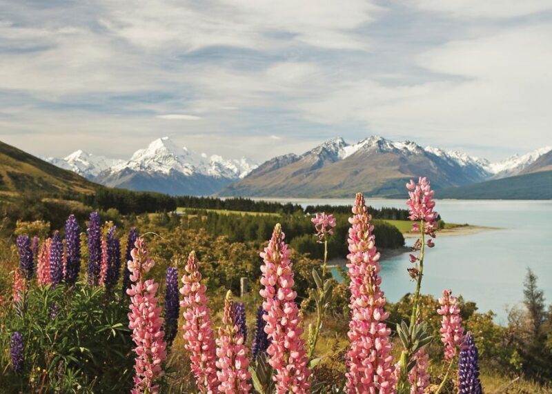 Mt. Cook Day-Tour: Christchurch to Queenstown - Frequently Asked Questions