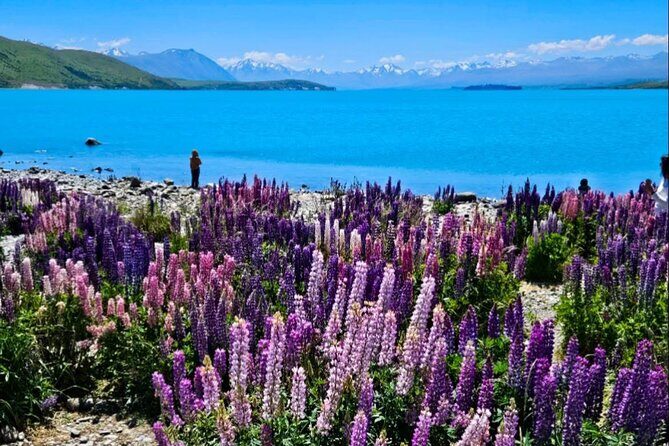 Mt. Cook Private Day Trip From Queenstown with Lake Tekapo - Practical Details and Tips
