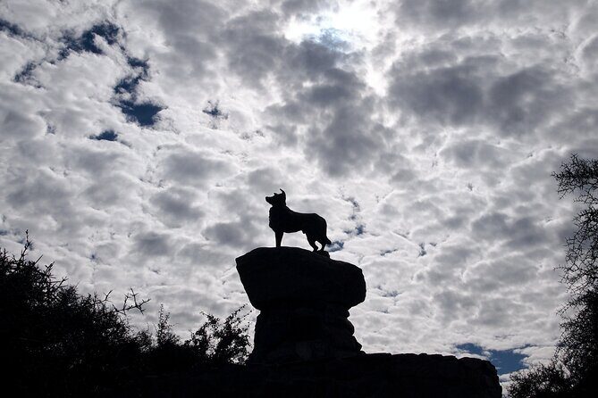 Mt Cook to Christchurch One-Way Small Group Tour via Lake Tekapo - The Sum Up