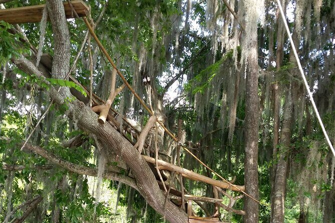 Mt. Dora Canal Boat Tours with Lunch - The Historic Roots of the Dora Canal