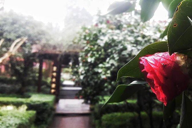 Mt Emei 1 day tour - What’s Included and What’s Not