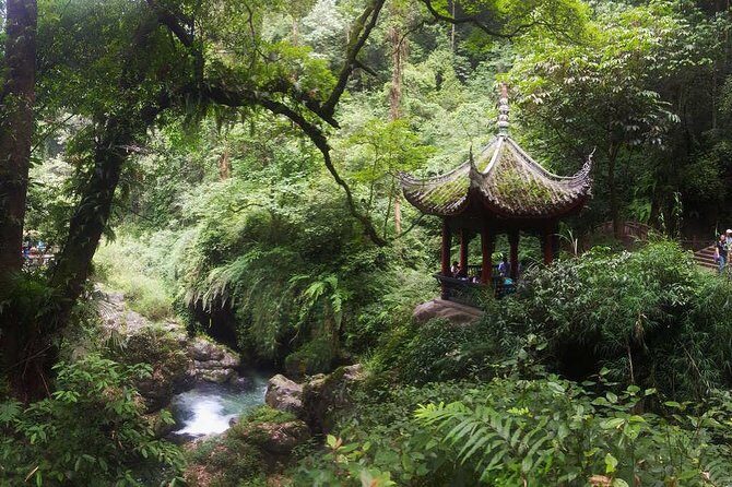 Mt Emei and Giant Buddha 2 Days Tour - The Sum Up