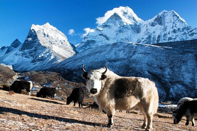 Mt. Everest Base Camp Trek Nepal - 16 Days - Key Points