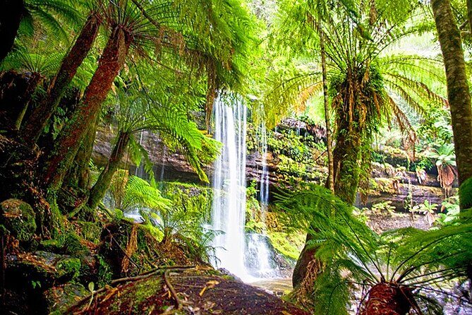 Mt Field National Park and Russell Falls from Hobart - FAQs