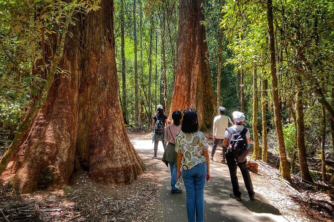 Mt Field National Park and Russell Falls with Bonorong Wildlife - An Honest Look at the Tour Itself