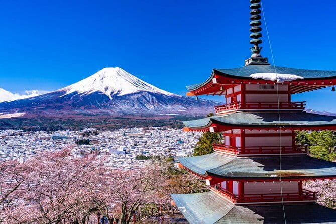 Mt Fuji 5th Station/Arakurayama Sengen Park & Oshino Hakkai Tour - A Full Breakdown of the Tour Experience