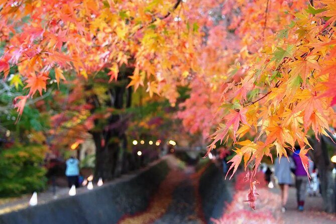Mt Fuji 5th Station Kawaguchiko Gotemba Outlet mall Tour | Tokyo - Key Points