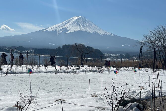 Mt. FUji and Cherry Blossom Day Trip with English Speaking Driver - Practical Details