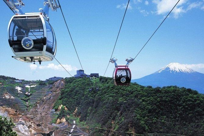 Mt. Fuji and Hakone Day Trip From Tokyo with Bullet Train Option - How the Tour Works