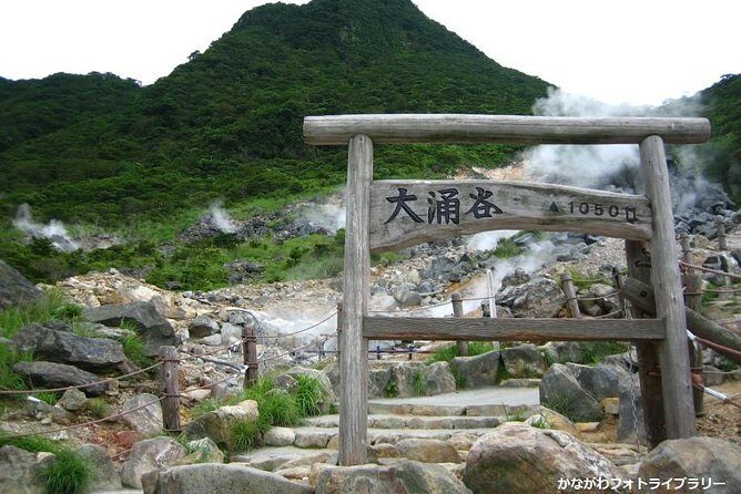 Mt. Fuji and Hakone Day Trip From Tokyo with Bullet Train Option - FAQ
