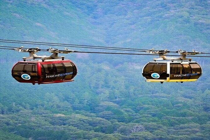 Mt. Fuji and Hakone Full Day Tour with English Speaking Driver - The Real-World Experience: What Travelers Are Saying