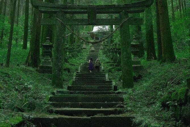 Mt. Fuji and Hakone Full Day Tour with English Speaking Driver - Who Is This Tour Best For?