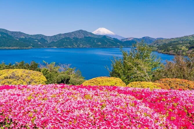 Mt Fuji and Hakone One Day Tour departure from Tokyo with lunch - The Value and Practicalities