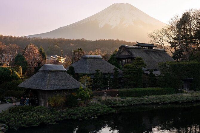 Mt Fuji and Hakone Private Day Tour with English Speaking Driver - Who Will Love This Tour?