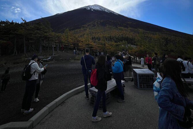 Mt.Fuji and Hakone Private SightSeeing Day Tour(from Tokyo) - An In-Depth Look at the Itinerary